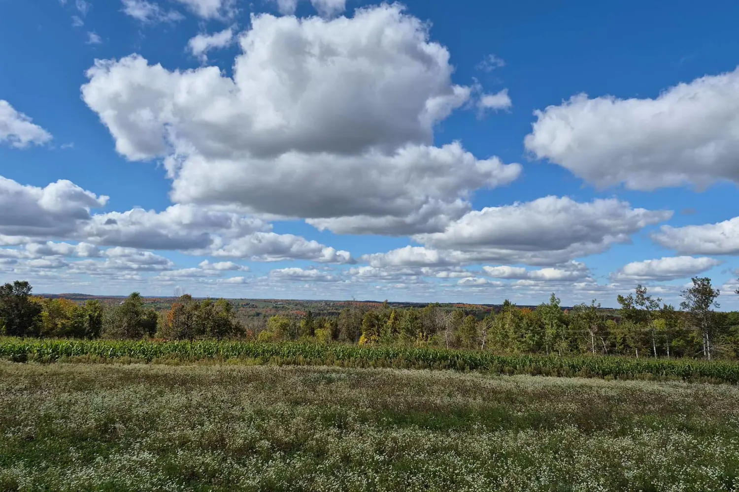 Pl 15 Base Line photo 4