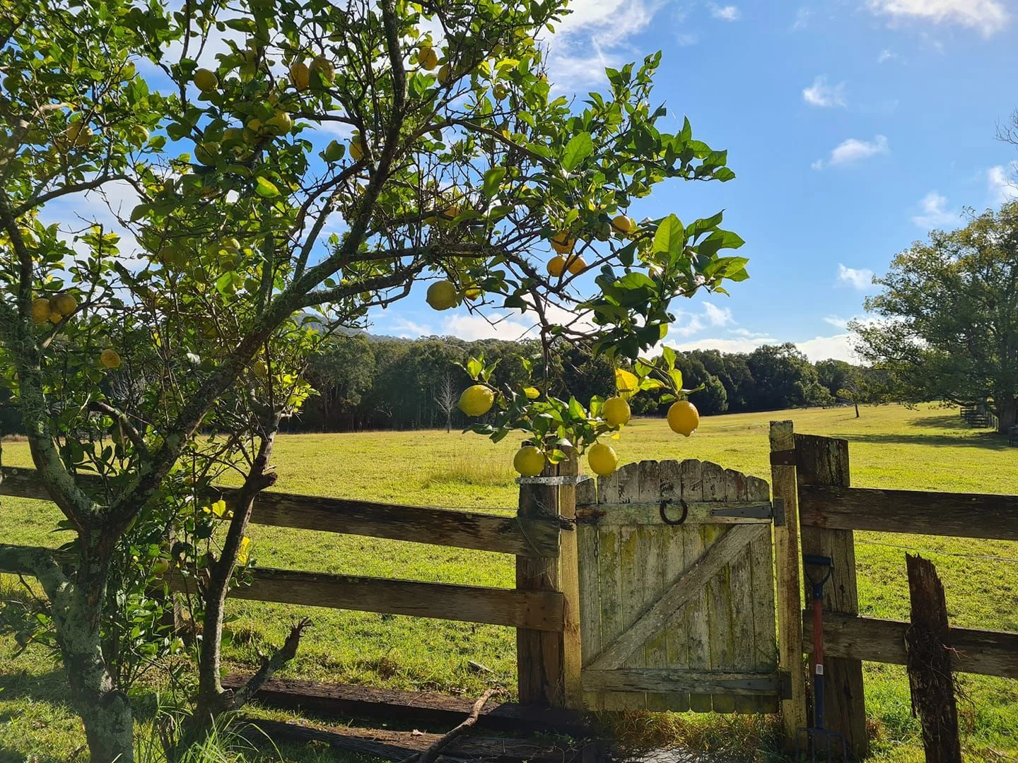 Additional image 2 of 34 HANNAM VALE ROAD, Moorland NSW 2443