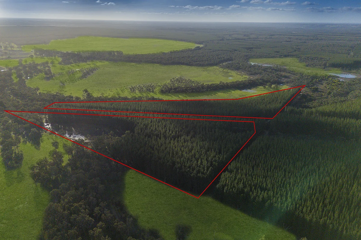 Additional image 9 of 125 Moonlight Road, Killara VIC 3312