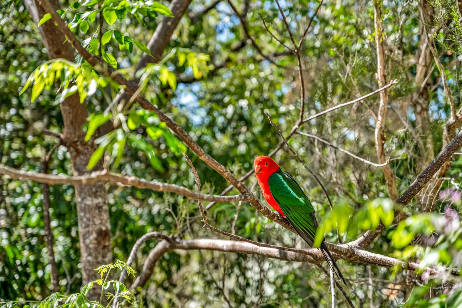 Additional image 33 of 20a/1953 Chichester Dam Road, Bandon Grove NSW 2420