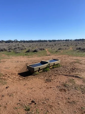 Additional image 4 of 382 Jones Lane, Condobolin NSW 2877