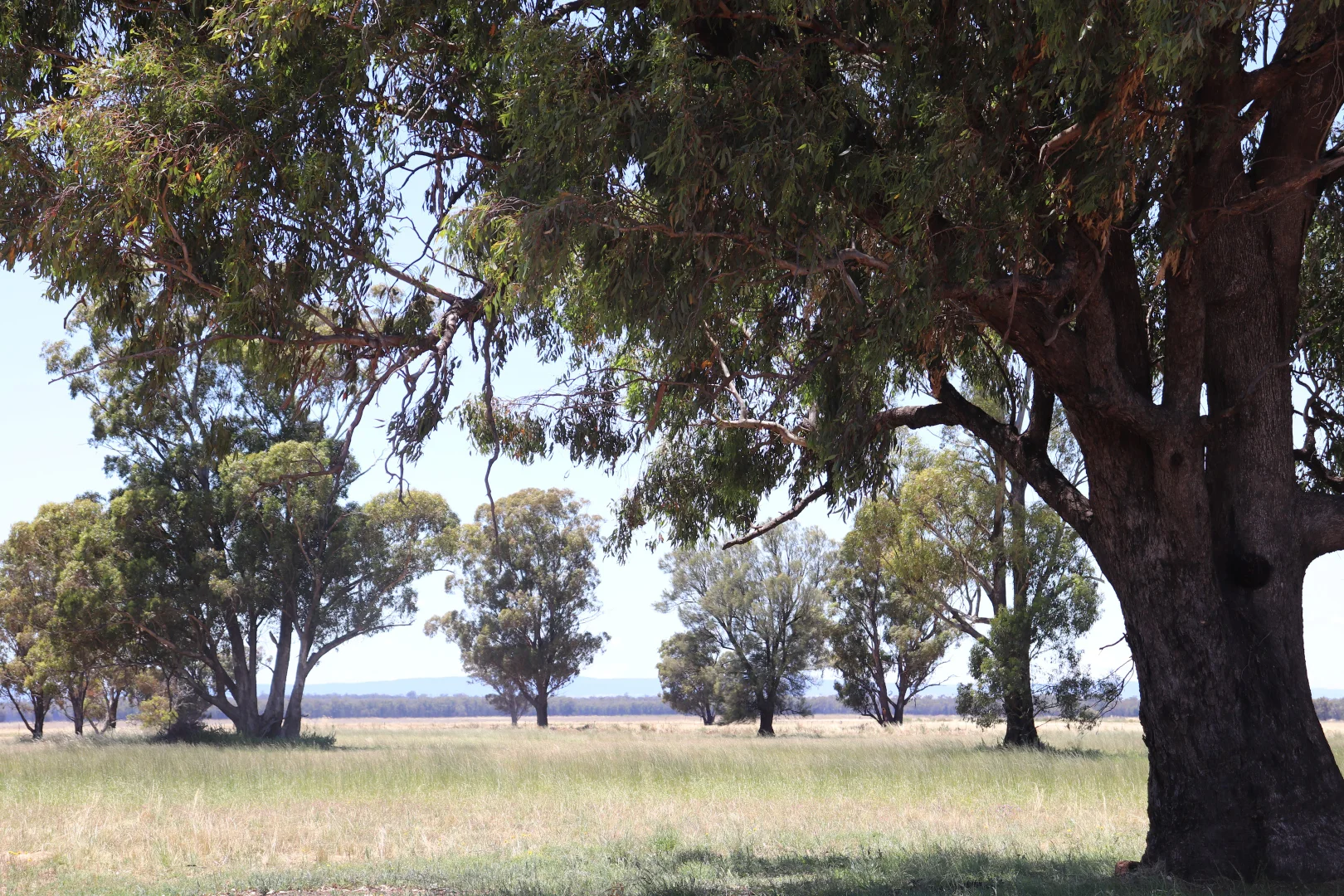 Additional image 30 of 655 Boorr Hill Road, Parkes NSW 2870