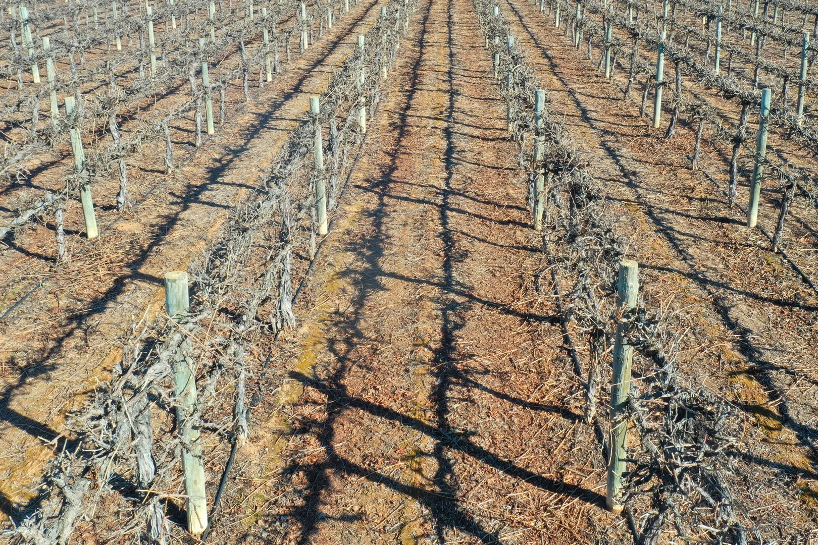 Additional image 10 of Lot 2 PS216987 Anzac Road, Robinvale VIC 3549