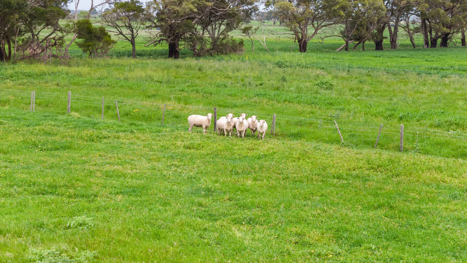 Additional image 30 of 771 Belt Road, Millicent SA 5280