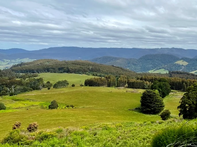 Additional image 2 of 29731 Tasman Highway, Weldborough TAS 7264