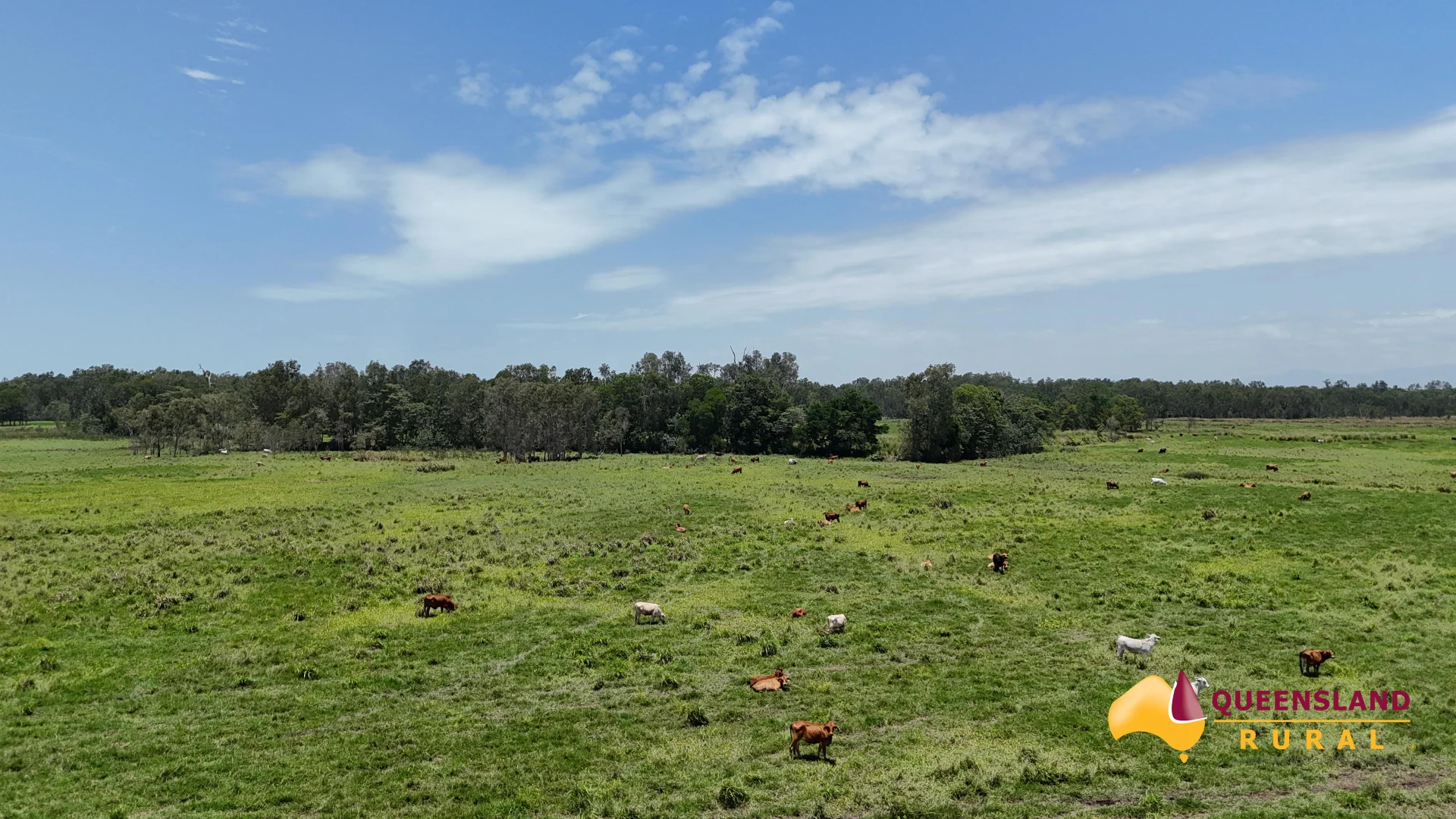 Additional image 7 of Euramo QLD 4854