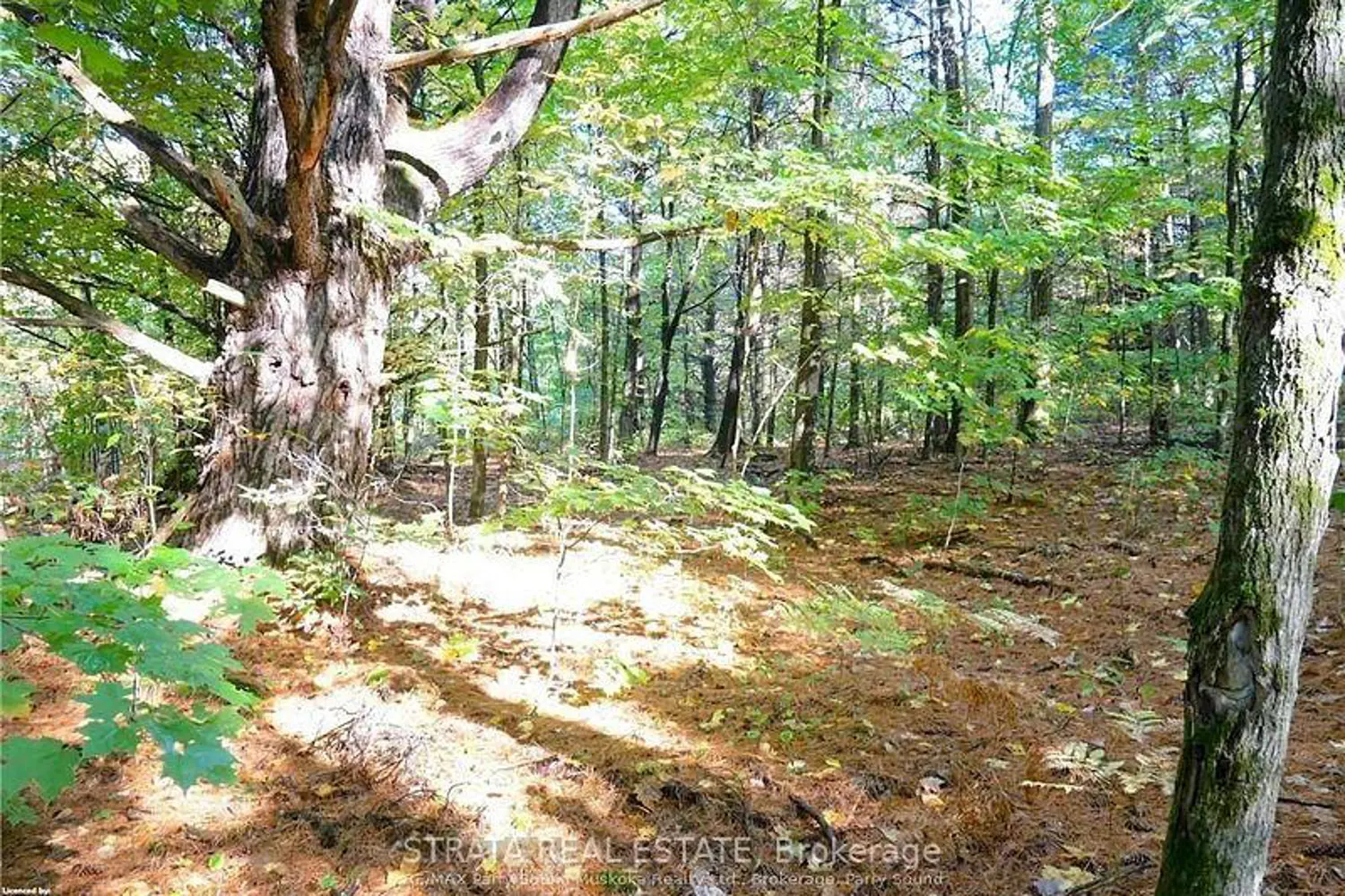 Additional image 6 of 0 518