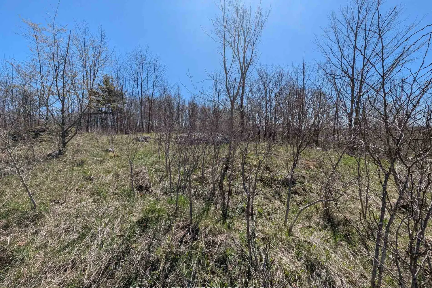 Additional image 10 of 0 Little Crosby Lake Road