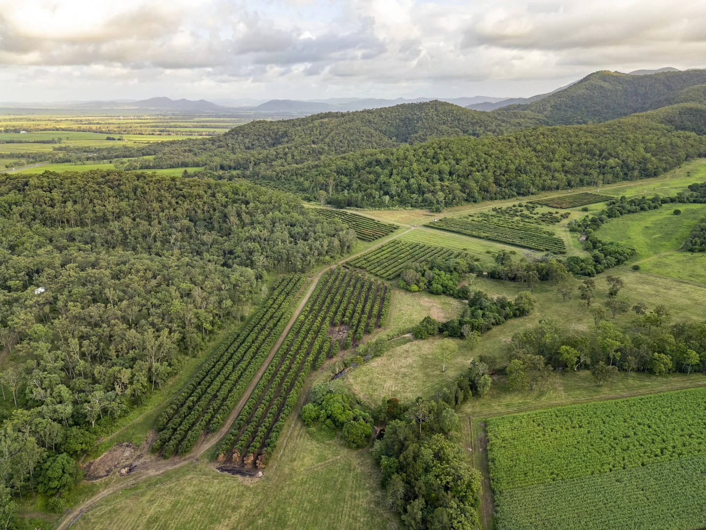 Additional image 14 of 24 Petersen Road, Koumala QLD 4738