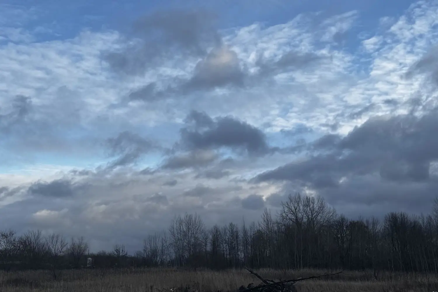 Additional image 5 of Block 8 South Beech Street