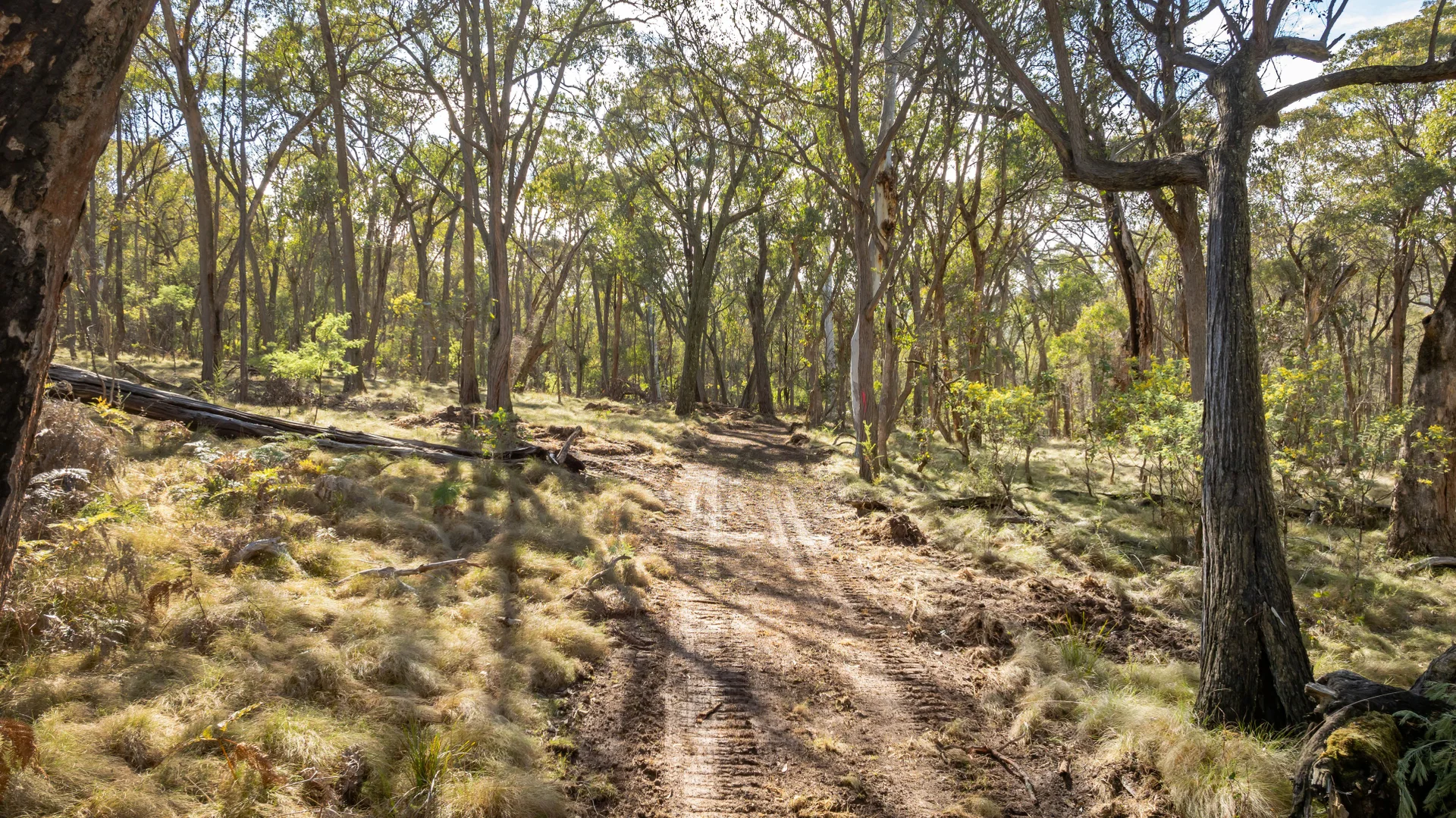 Additional image 10 of . Firebrace Track, Bullioh VIC 3700