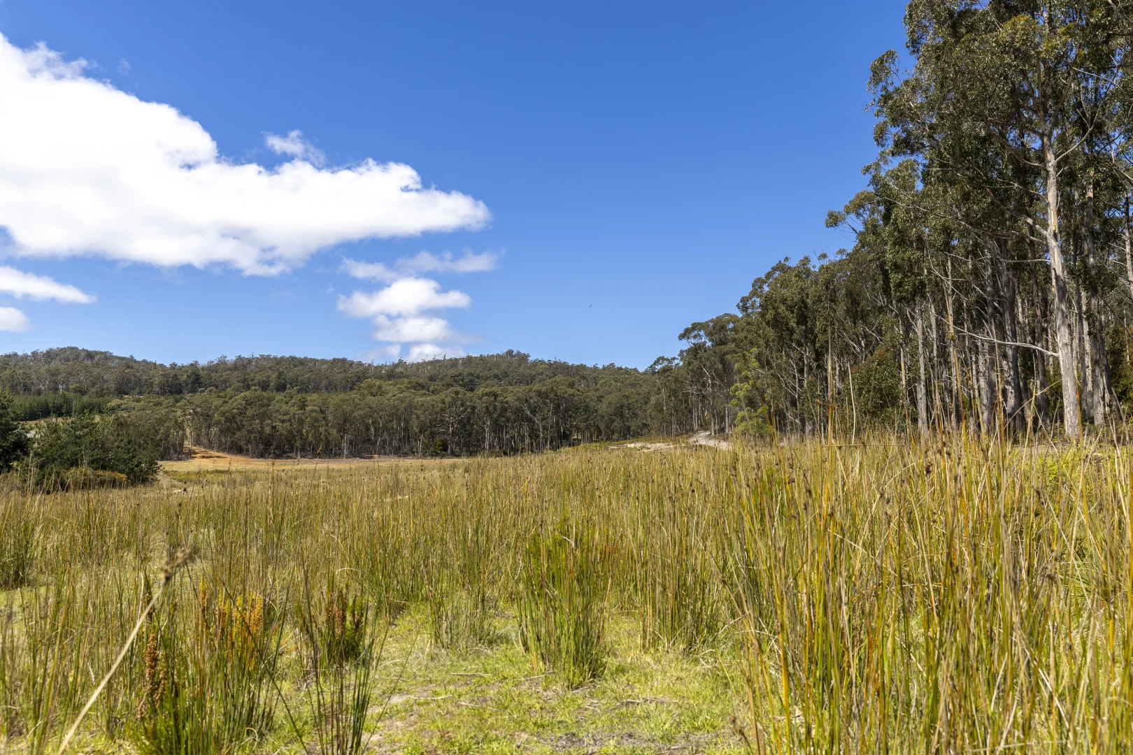 Additional image 11 of Lot 5 Harveys Hill Close, Deep Bay TAS 7112