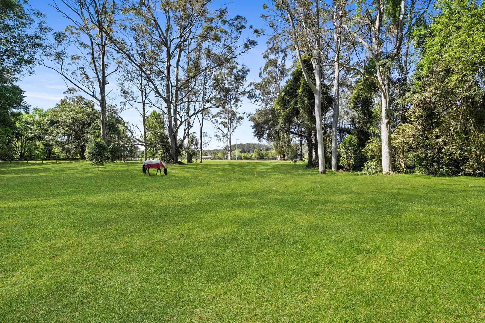 Additional image 41 of 413 Yarramalong Road, Wyong Creek NSW 2259
