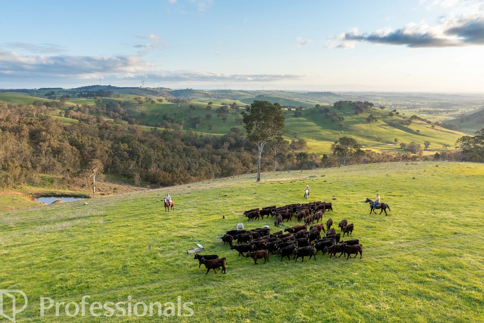 Additional image 52 of 361 Dicksons Lane, Orange NSW 2800