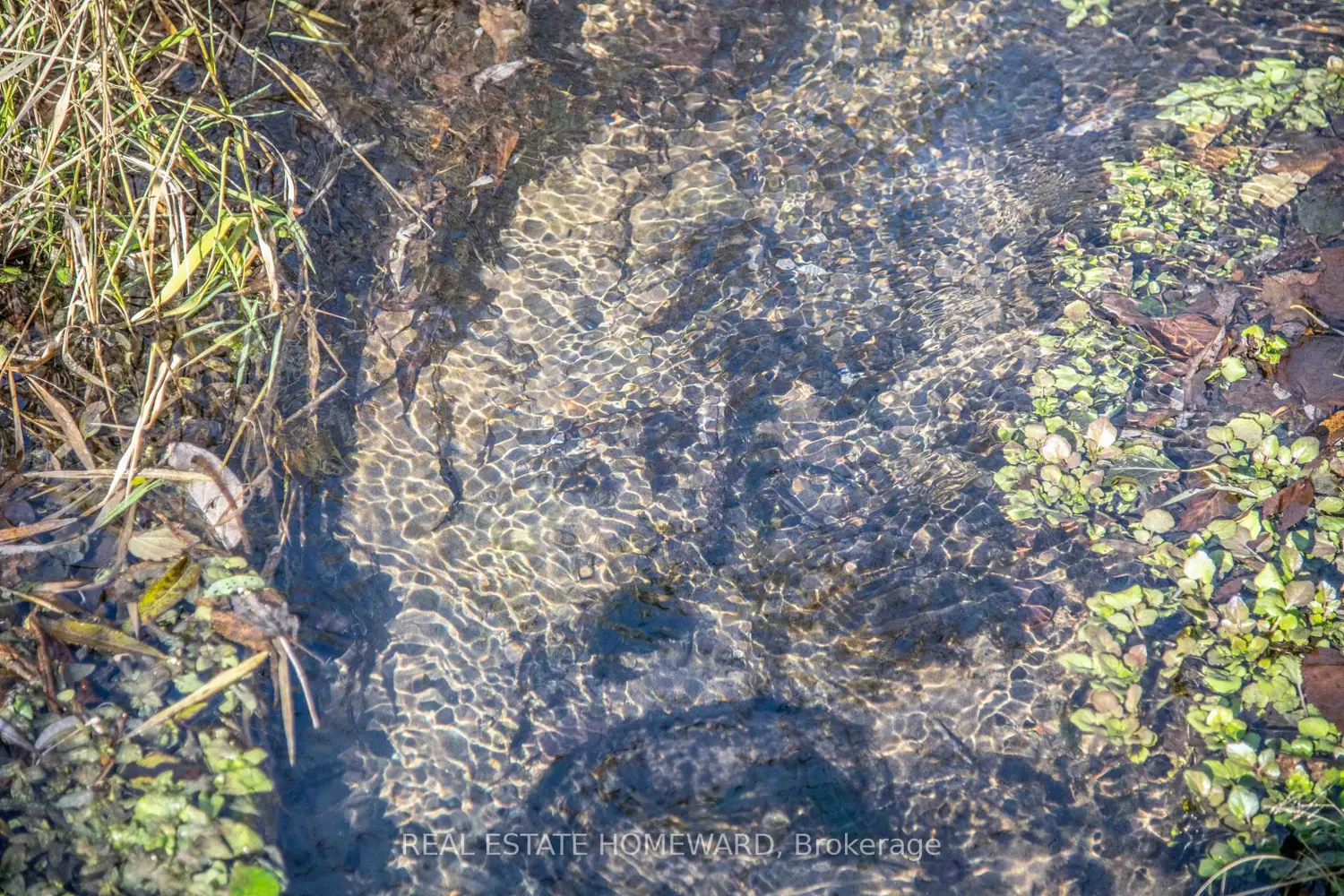 Additional image 3 of 7257 Soper Road