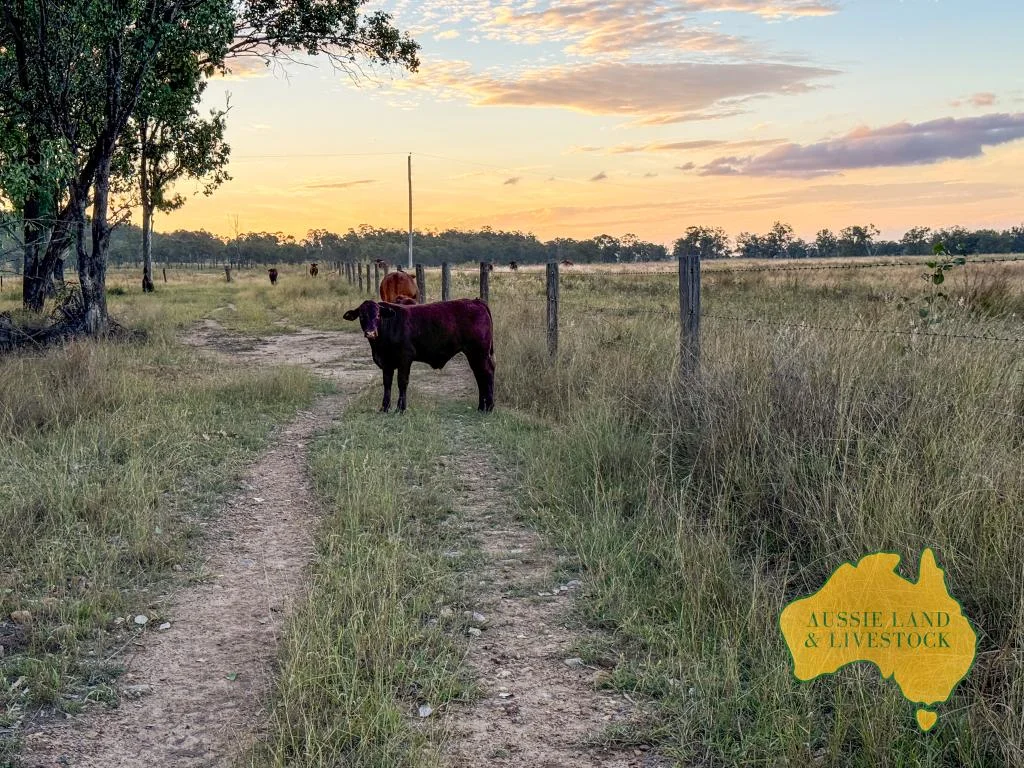 Additional image 67 of 8 SCREENING PLANT ROAD, Cynthia QLD 4627