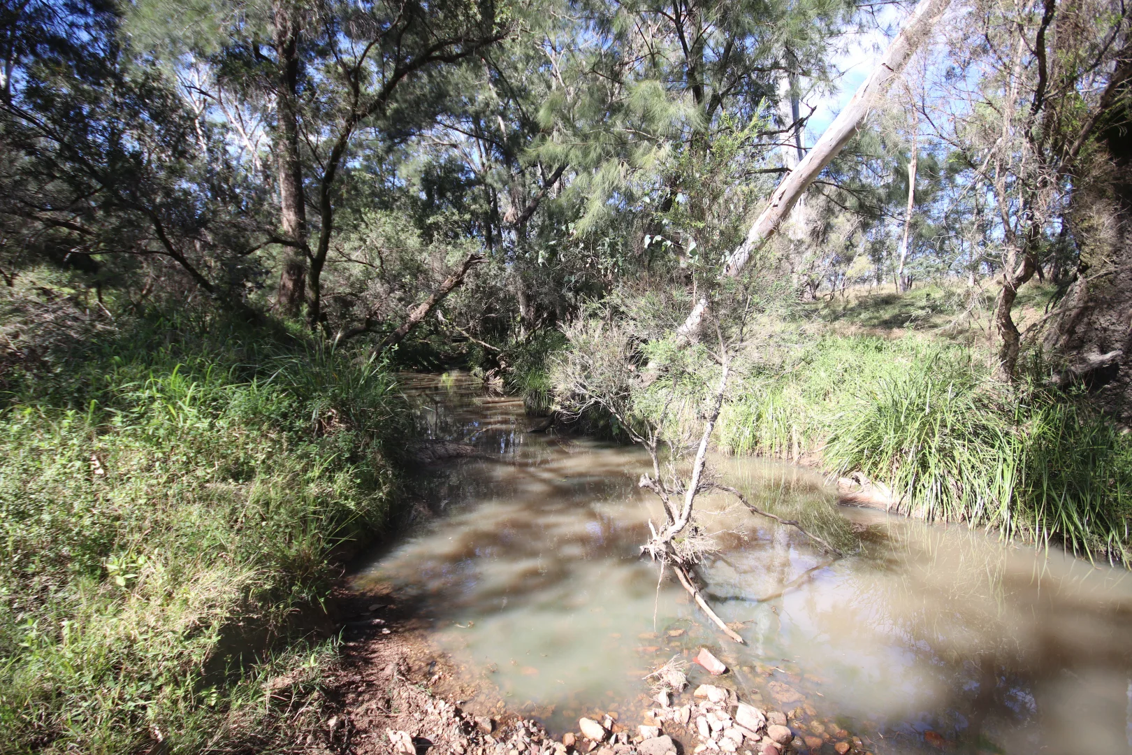 Additional image 8 of Lots 3, 11 & N Monogorilby Road, Monogorilby QLD 4626