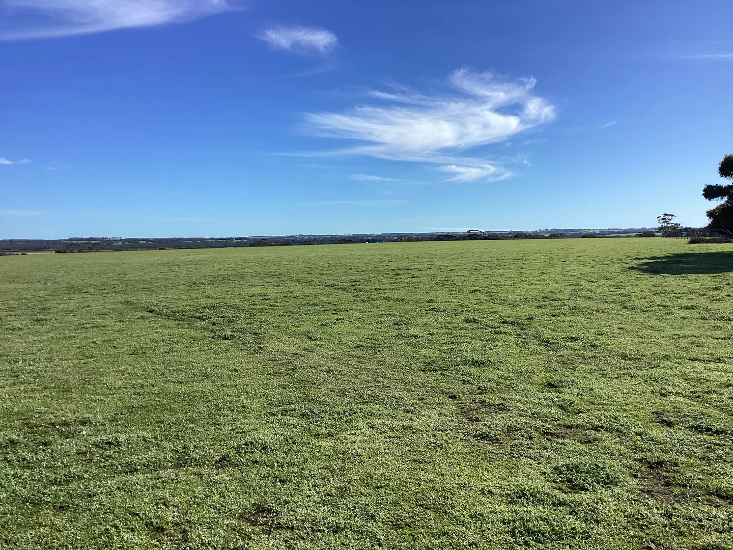 Additional image 14 of Lot 101 Schaefer Road, Seddon SA 5223