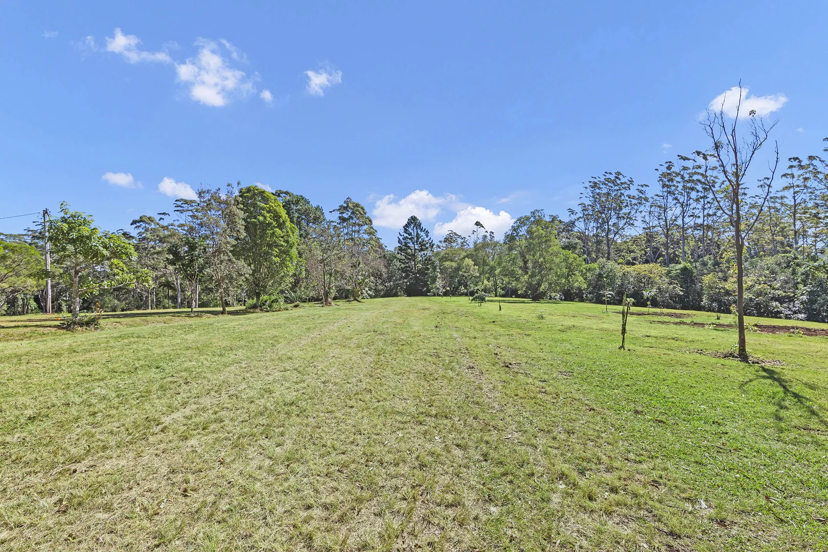 Additional image 13 of 28a Geissmann Street, Tamborine Mountain QLD 4272