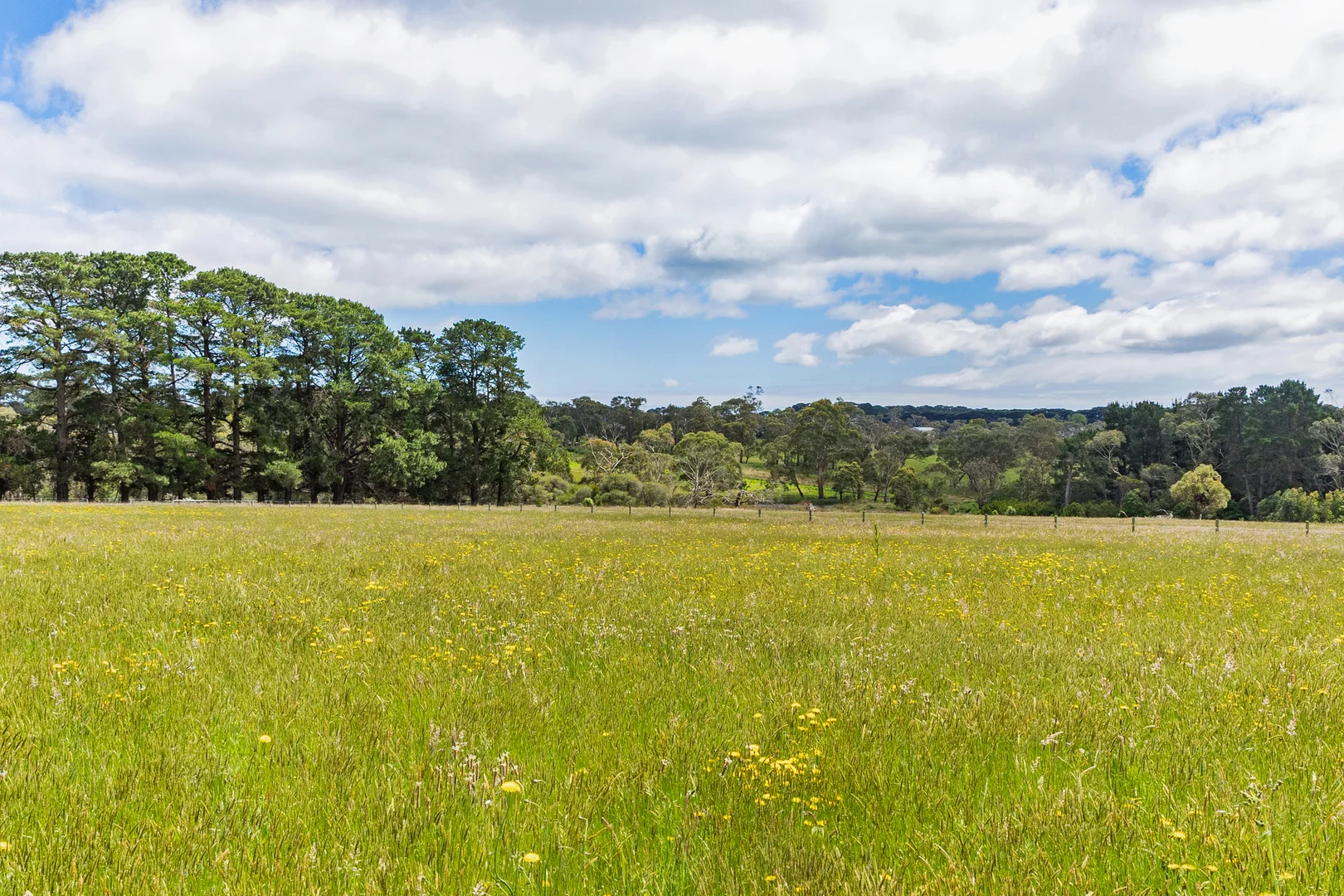 Additional image 7 of 8 Wonderland Avenue, Tuerong VIC 3915