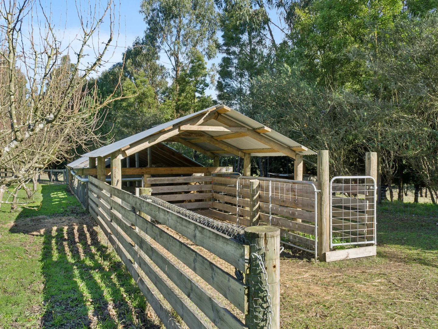 Additional image 11 of 240 Pipeline Road, Forrest VIC 3236