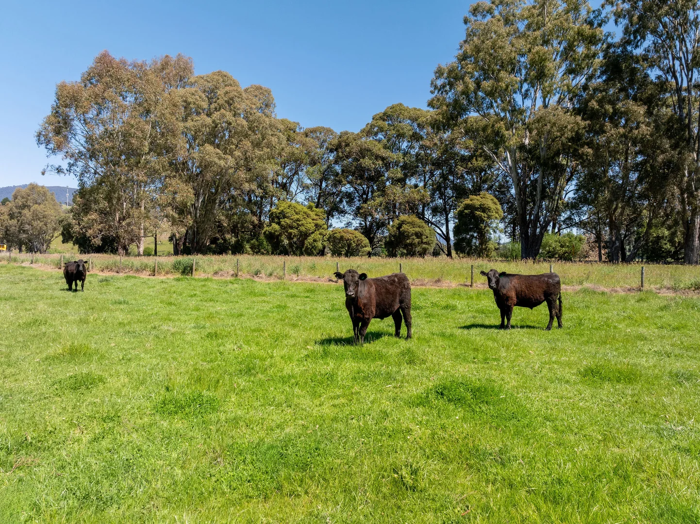 Additional image 26 of 1240 Goulburn Valley Highway, Thornton VIC 3712