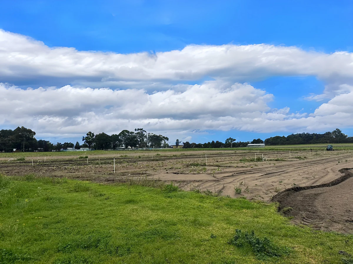 Additional image 2 of 105 Sixty Eight Road, Baldivis WA 6171