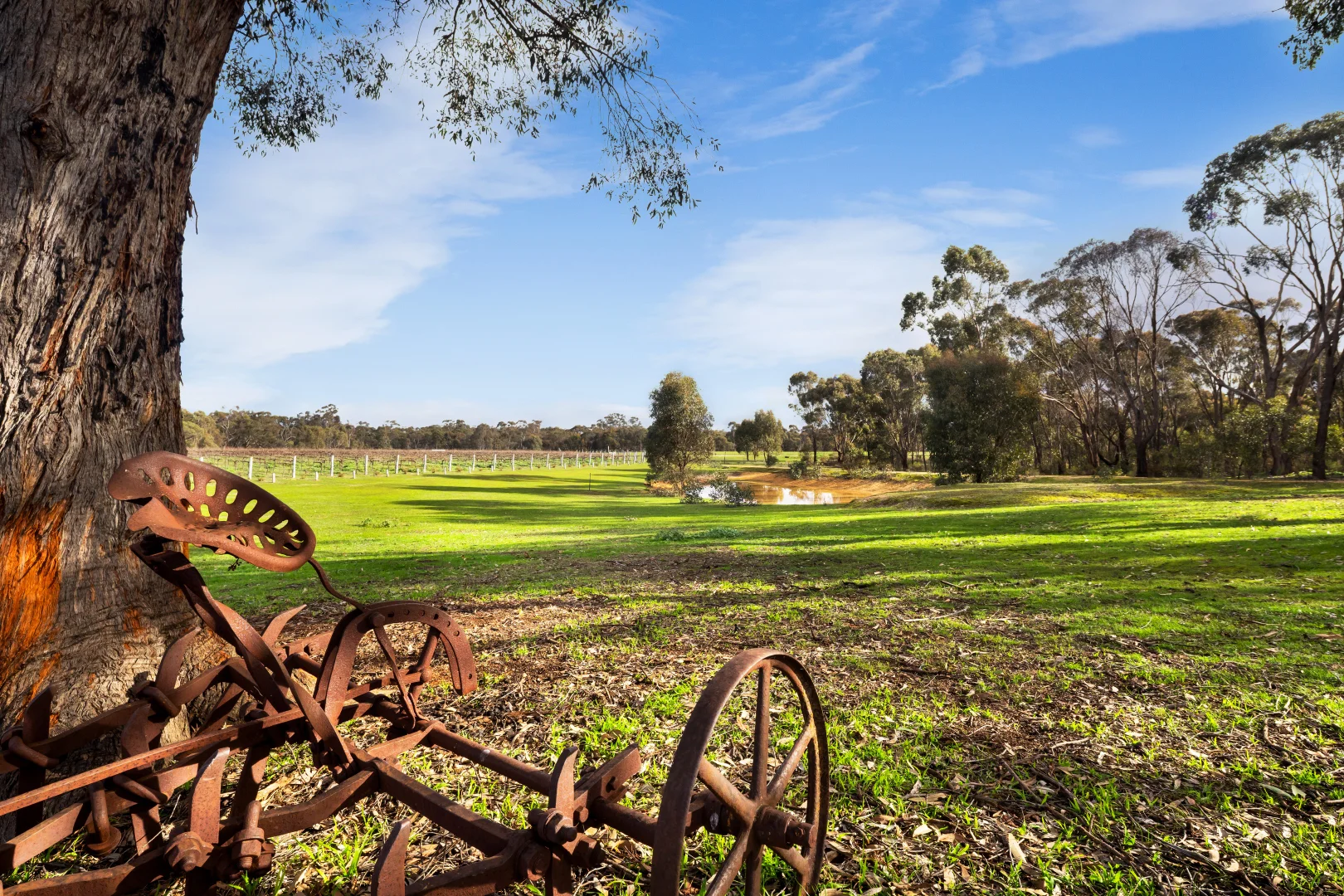 Additional image 16 of 20 Morris Lane, Avoca VIC 3467