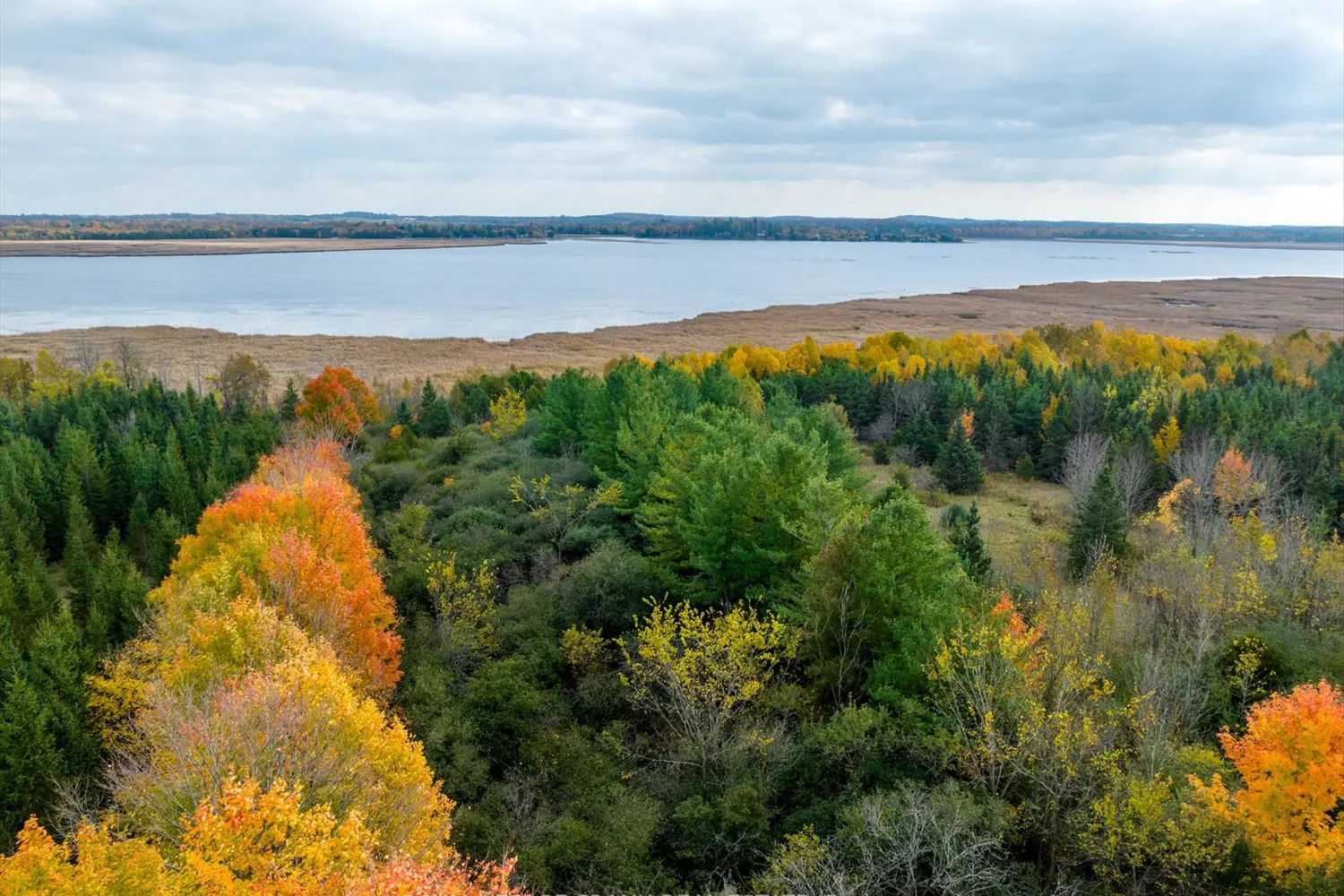 Additional image 11 of 1916 Pigeon Lake Road