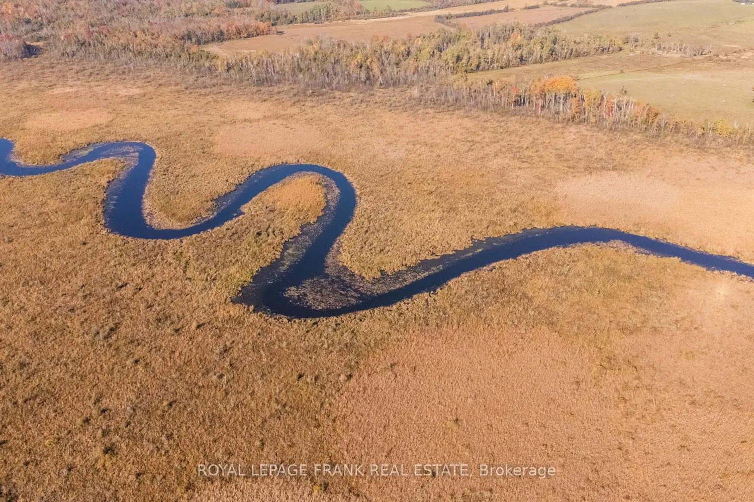 Additional image 6 of 740 Mount Horeb Road