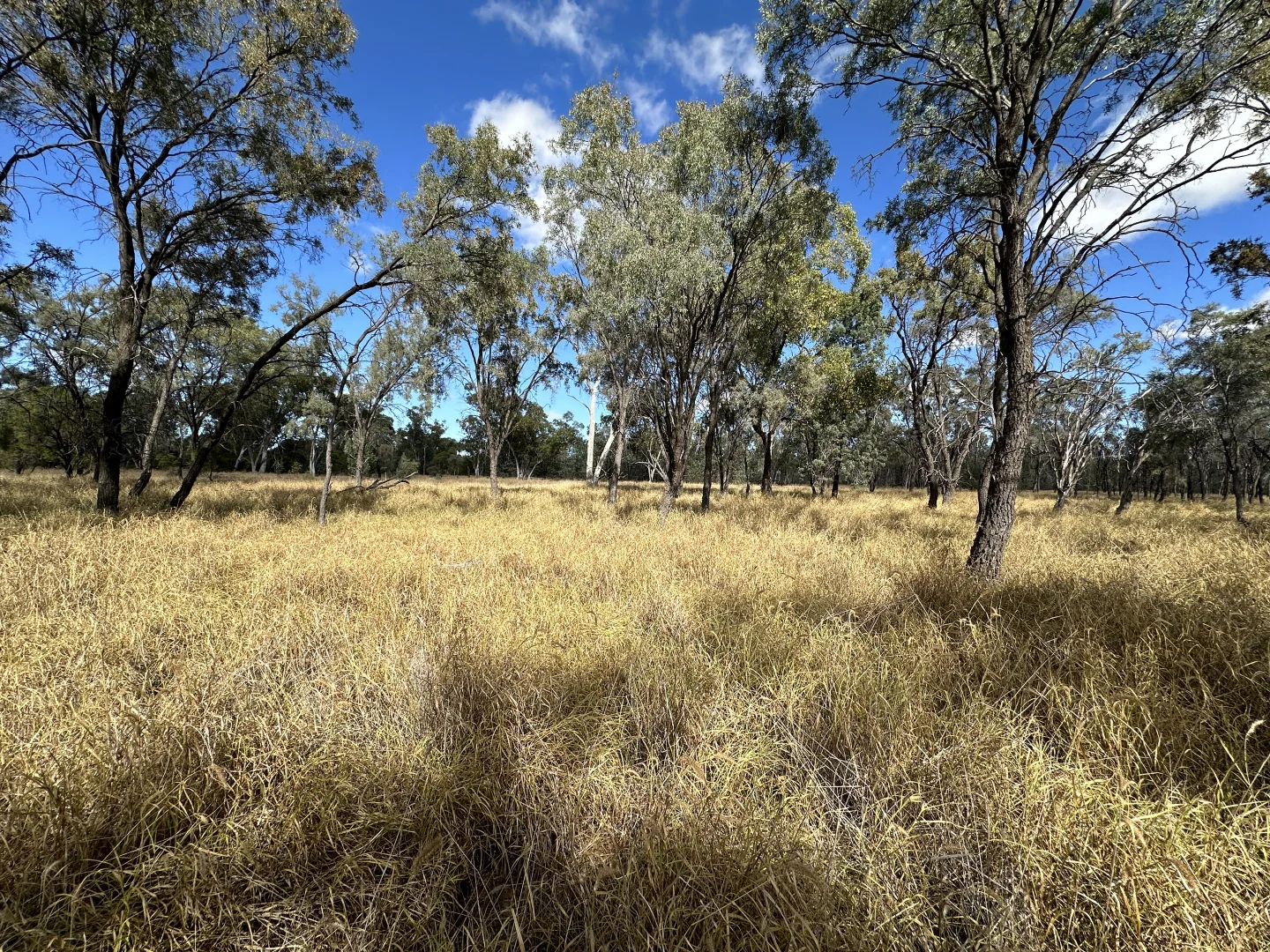 Additional image 5 of 0 Zieman Street, Bakers Bend QLD 4470