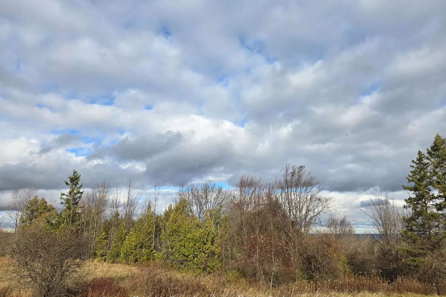 Additional image 3 of 133 Scotia Drive