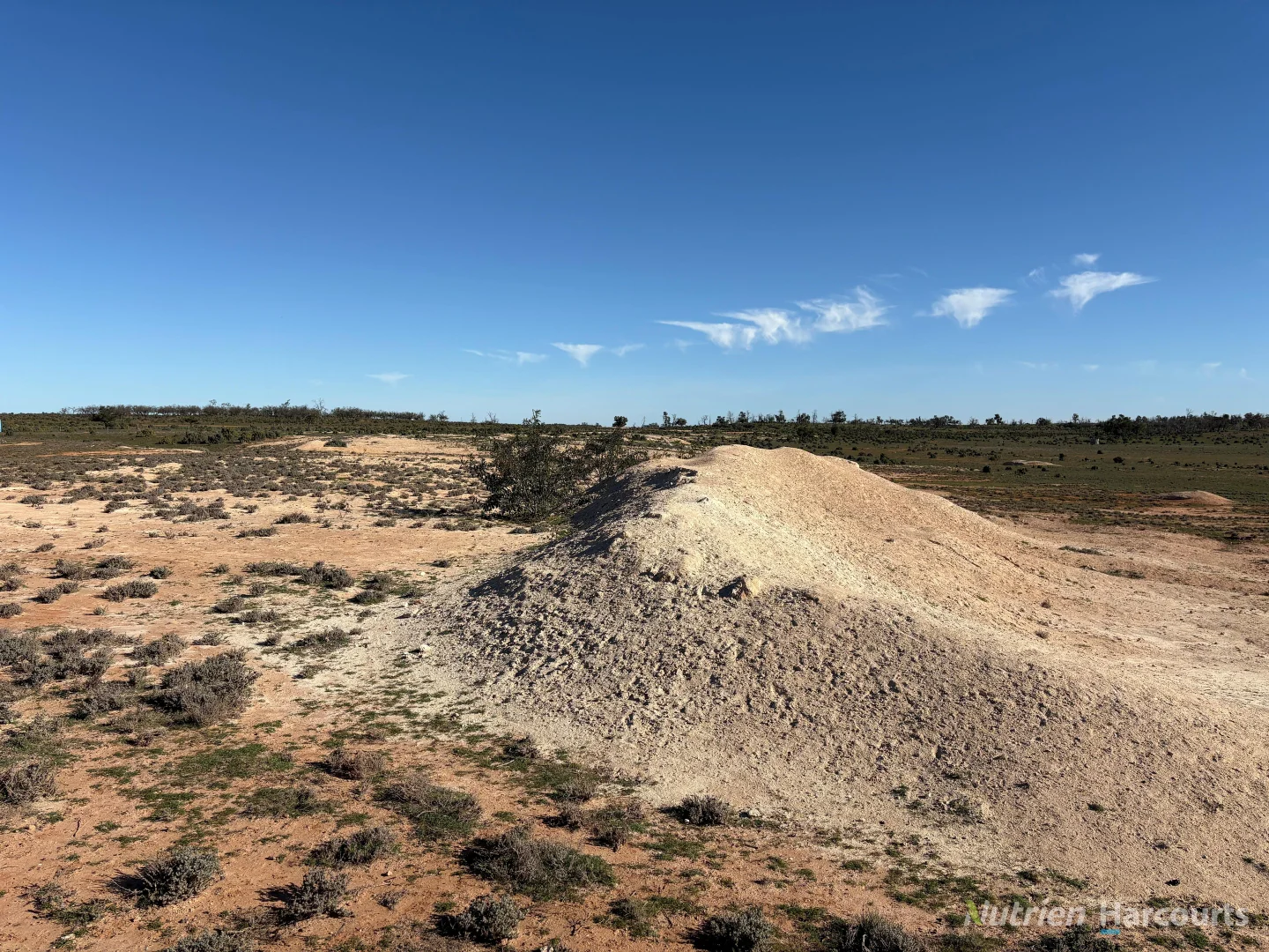 Additional image 44 of * Magenta Aggregation, Balranald NSW 2715