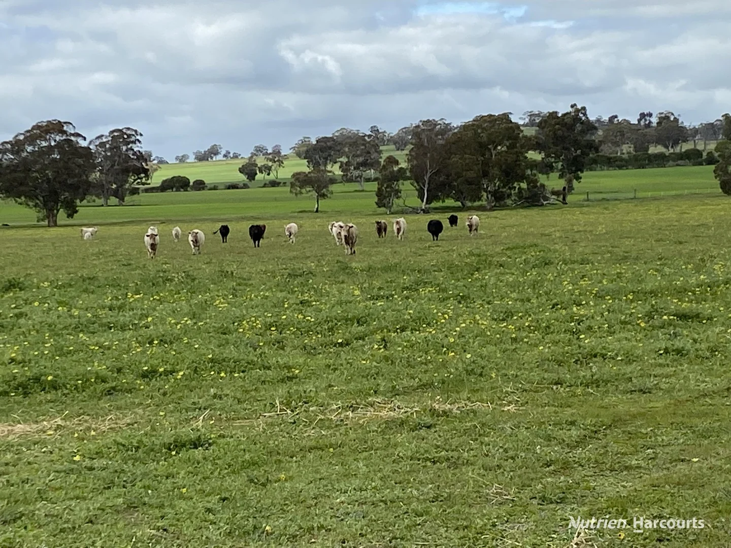 Additional image 3 of 401 York-Williams Road, Dale WA 6304