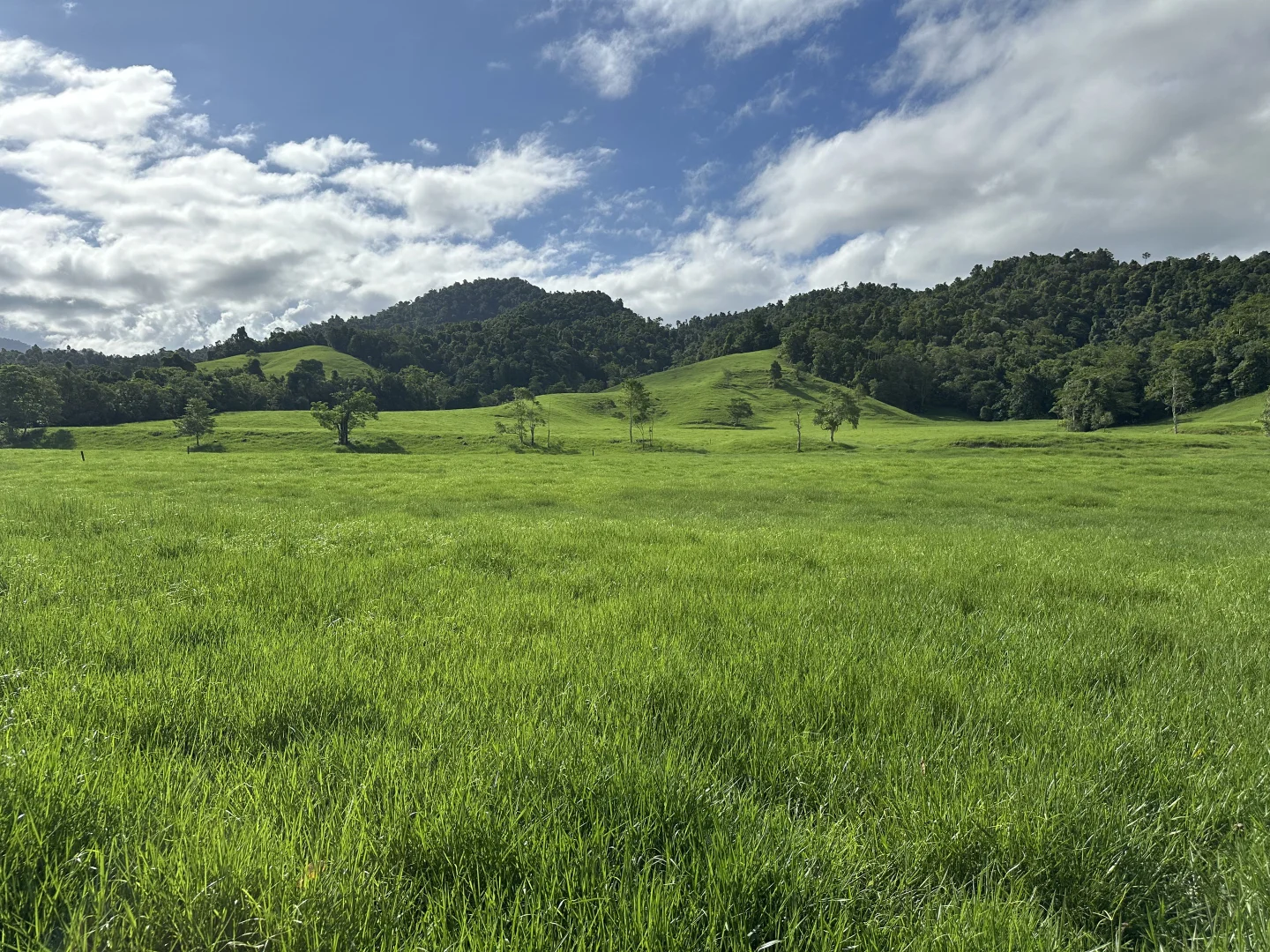 Additional image 27 of Japoonvale QLD 4856