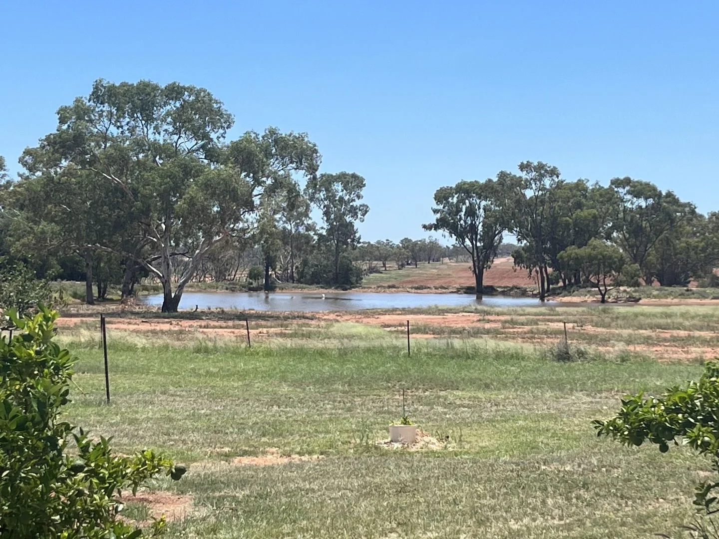 Additional image 28 of "Glendale"/4666 Mitchell Highway, Girilambone NSW 2831