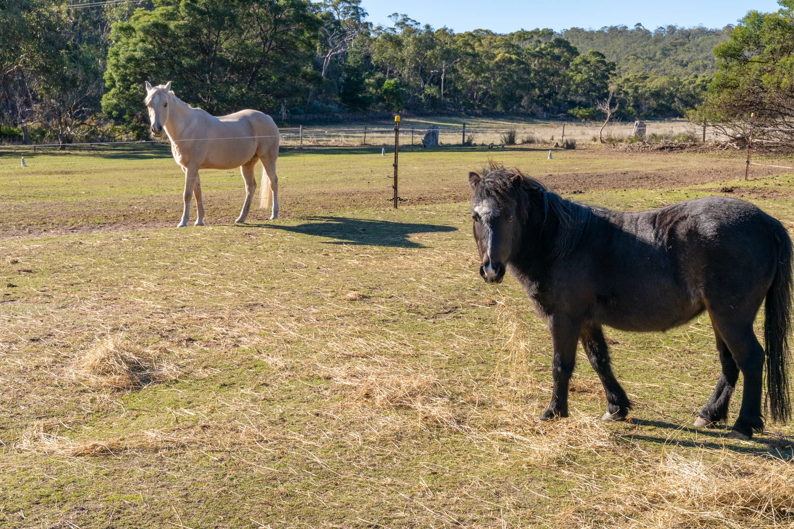 Additional image 28 of 1761 South Arm Road, Sandford TAS 7020