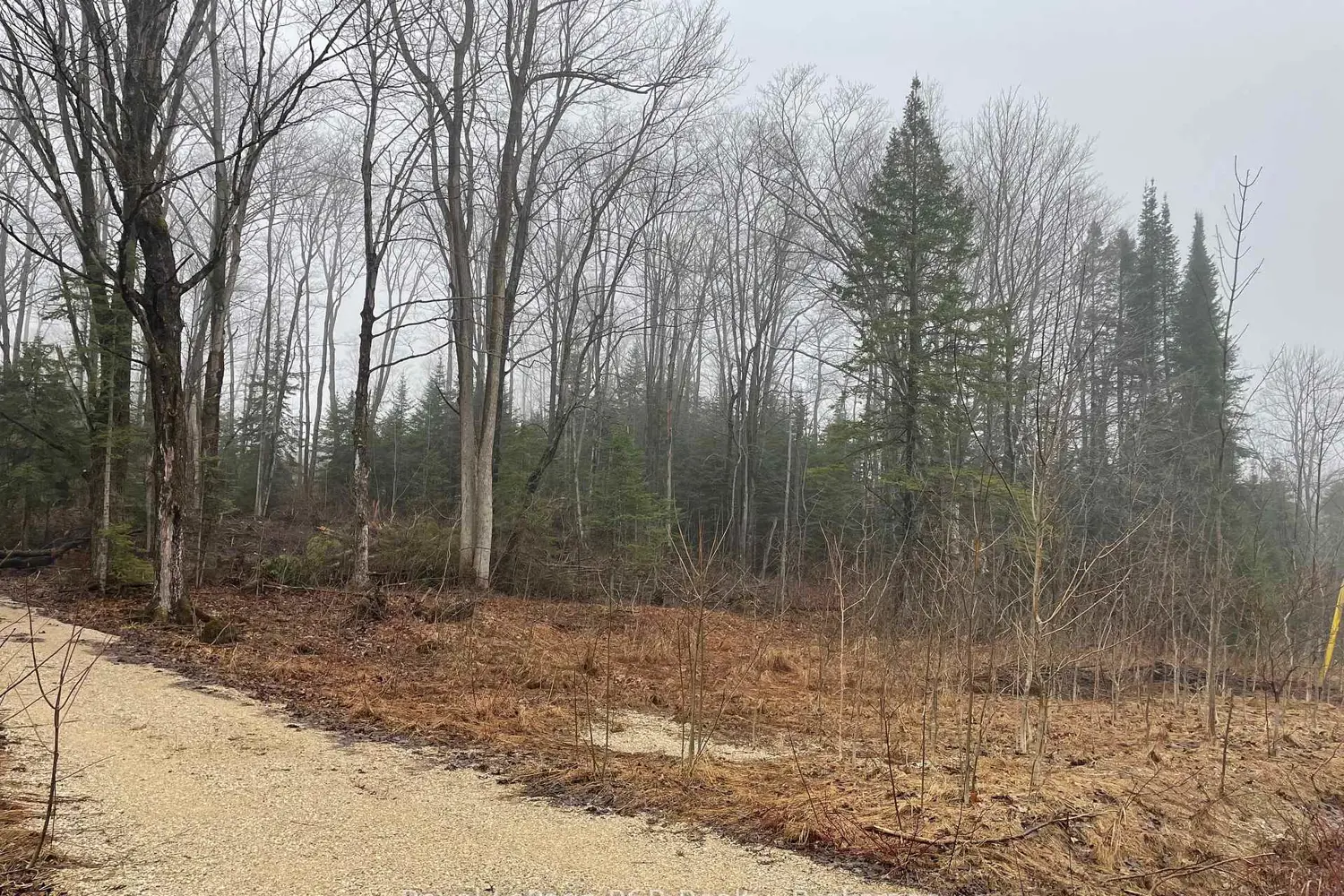 Additional image 10 of Lt 35 Highland Drive