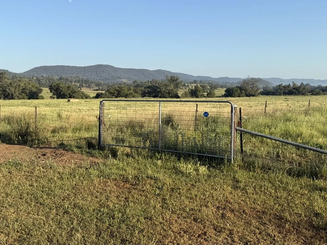 Additional image 30 of Garrambeel, Bingara NSW 2404