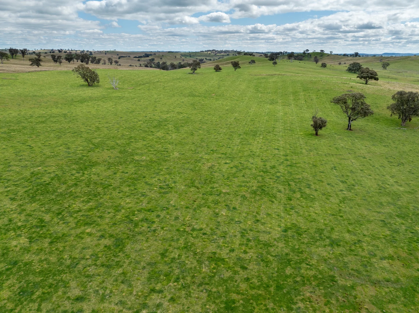 Additional image 31 of 'Cronga Peak' 157 Cronga Peak Road, Molong NSW 2866