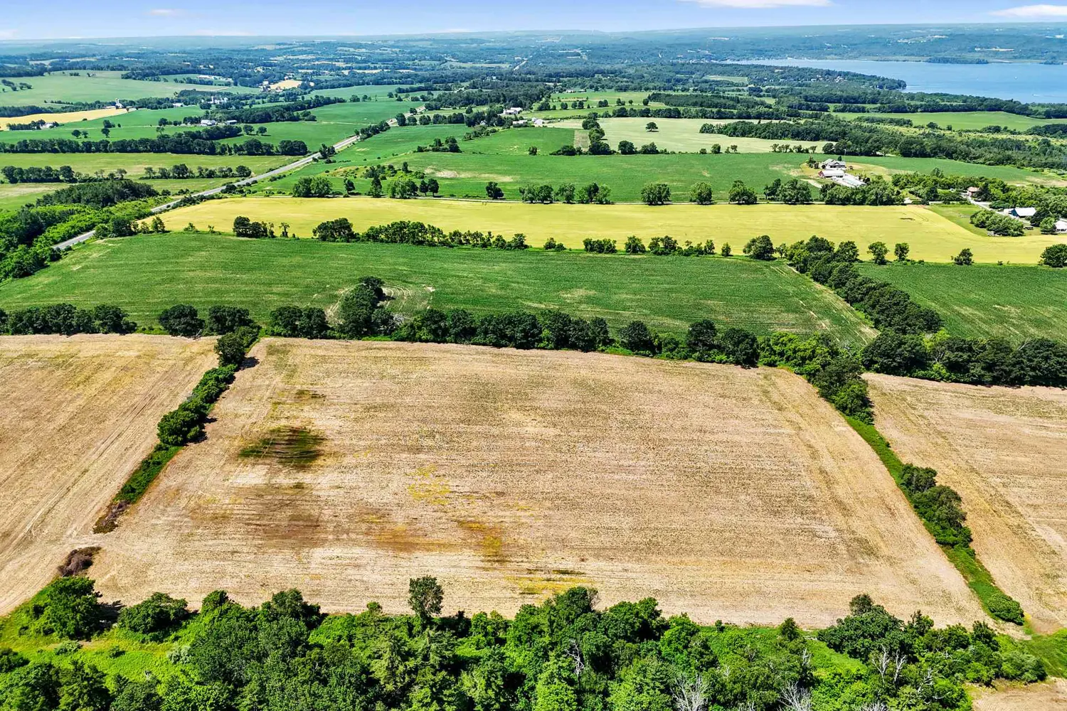 Additional image 5 of 8383 Lander Road