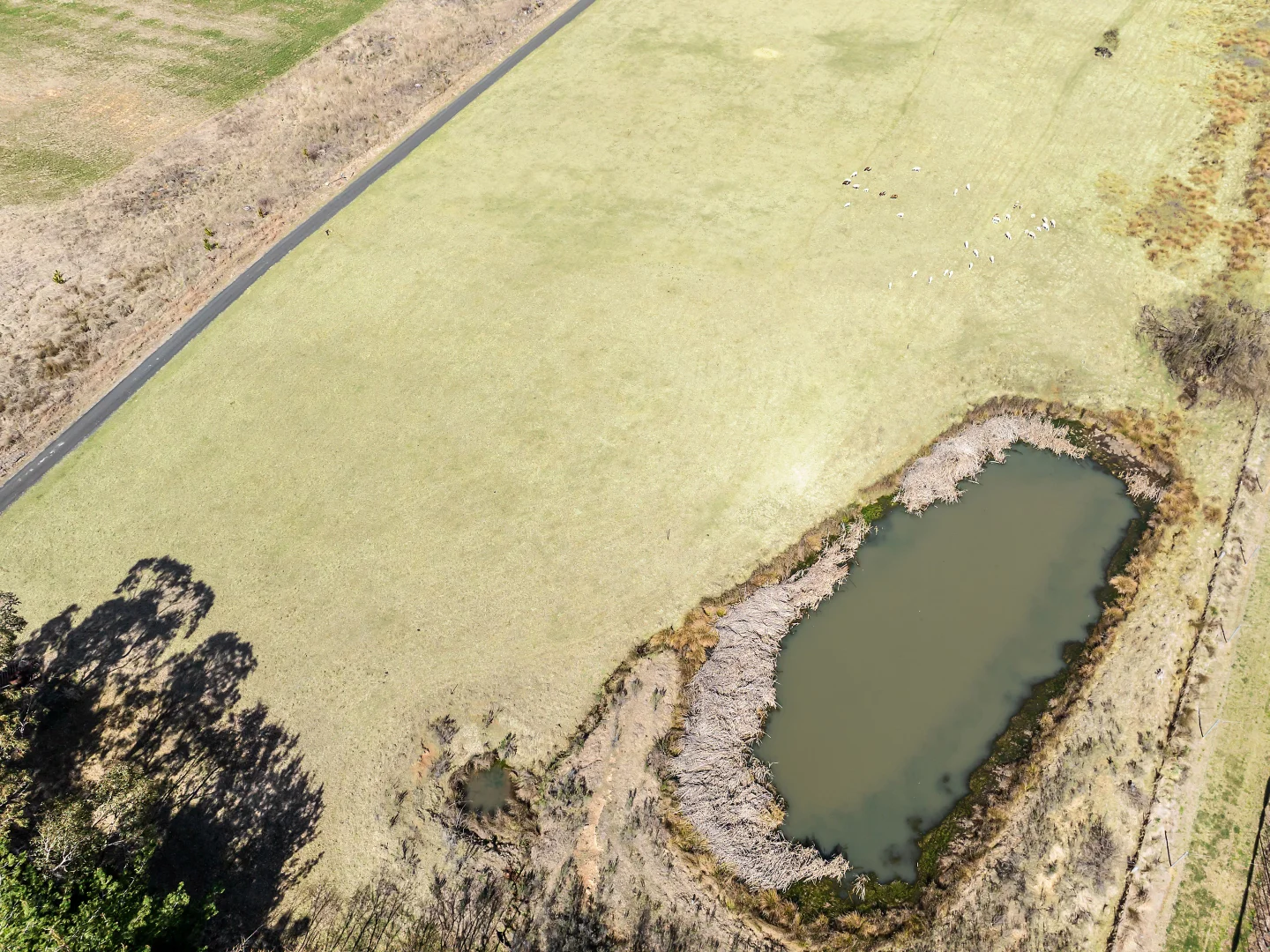 Additional image 18 of 19 Wallace Lane, Orange NSW 2800