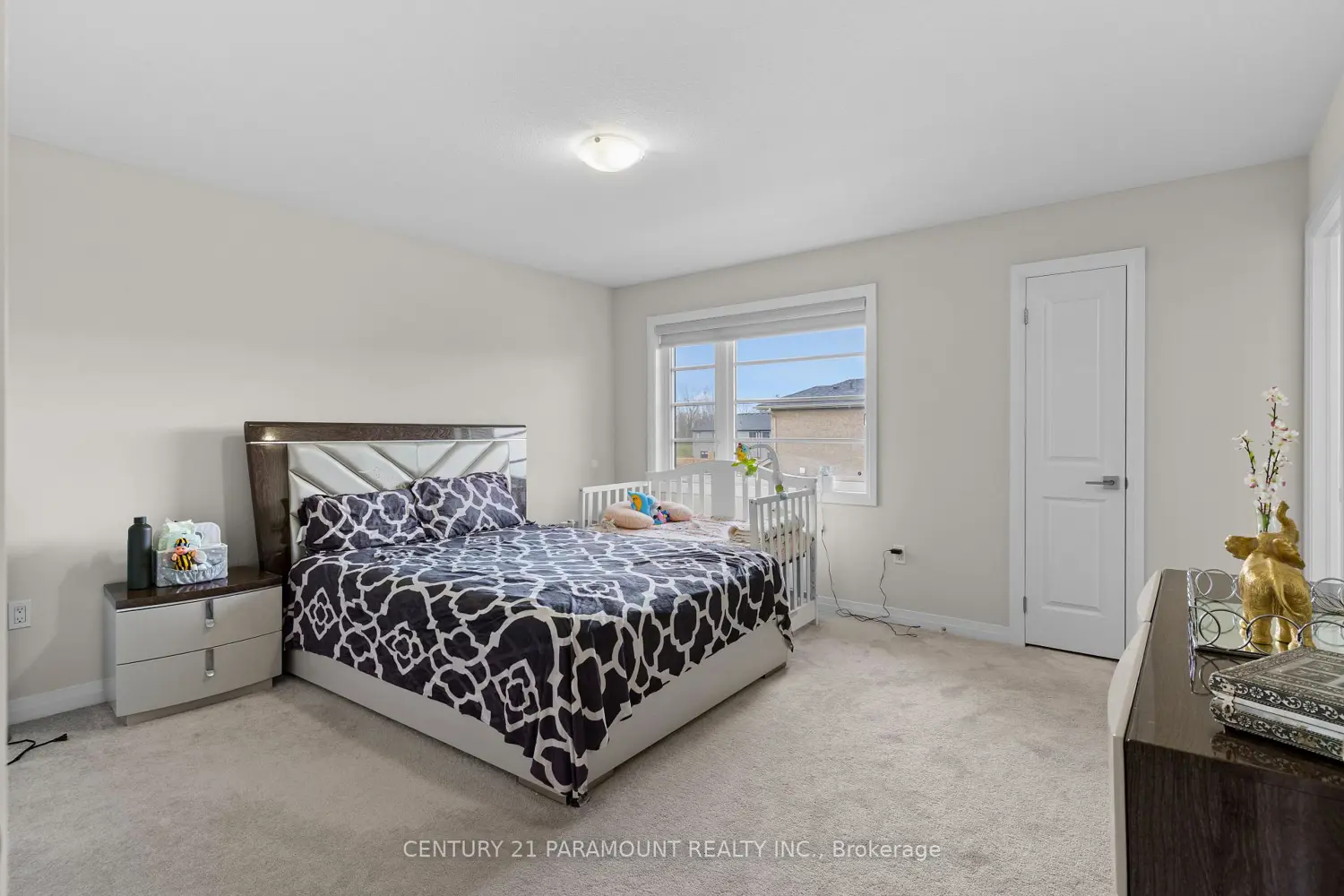 Additional image 15 of 520 Grey Street 5