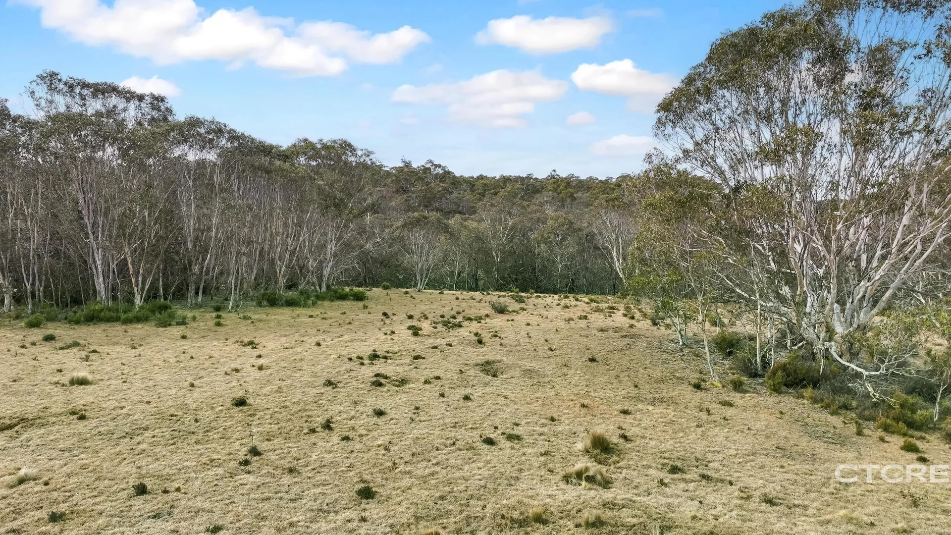 Additional image 13 of 1695 Bendoc-Orbost Road, Bendoc VIC 3888