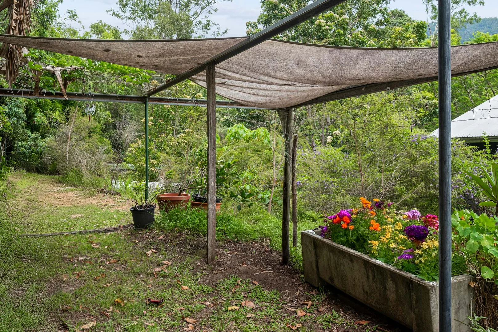 Additional image 24 of 901 Cedar Creek Road, Cedar Creek QLD 4520