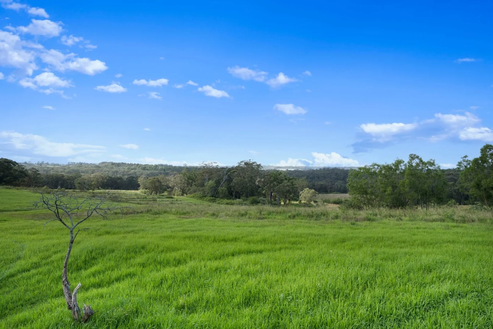 Additional image 16 of Lillicrapps Road, Mangrove Mountain NSW 2250