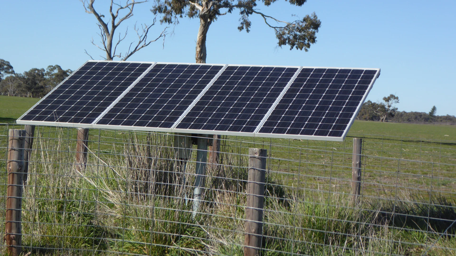 Additional image 21 of 2147 Bangham Road, Frances SA 5262