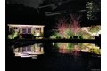 Additional image 15 of 17 Erita Ln, Smithtown, NY, 11787