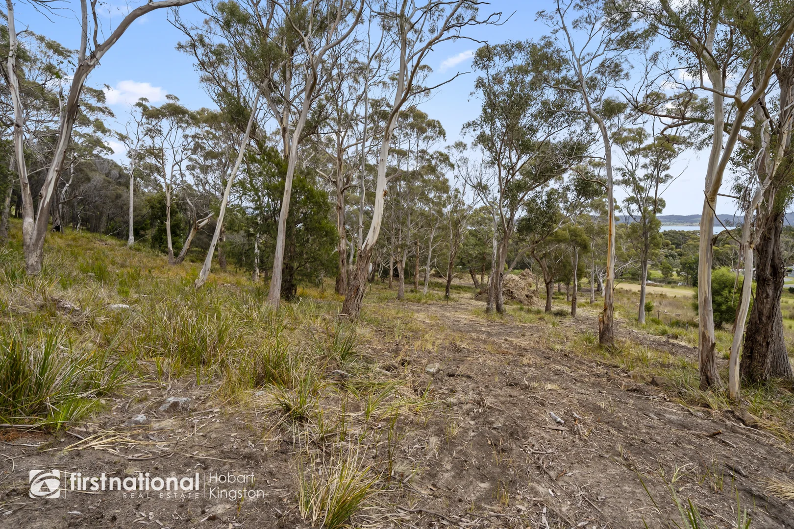 Additional image 14 of Bruny Island Main Road (Off Blyth Parade), Great Bay TAS 7150