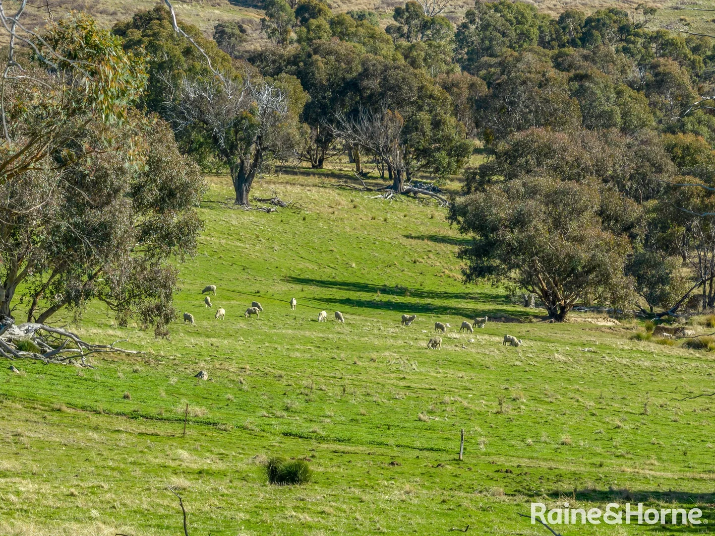 Additional image 15 of 2306 Bigga Road, Bigga NSW 2583